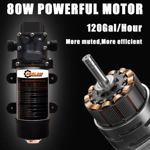 12V Fuel Transfer Pump Kit Moves Up To 120 Gallons Per Hour Of Gas Or Diesel With Flexible Fuel Hose And Dual Power Cables
