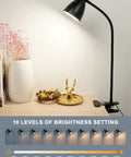 Clamp Lamp With 3 Color Modes And 10 Brightness Levels, Auto Off Timer, 10W 38 LED Clip On Reading Light on desk