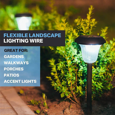 Beefy 12/2 Low Voltage Landscape Wire lighting up garden path, suitable for walkways and patios, with plant backdrop.