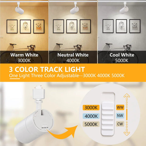 Three Color Temp 20W H Track Lighting Heads, Dimmable No Flicker LED Fixtures, 2000 Lumens Each with adjustable color temperature