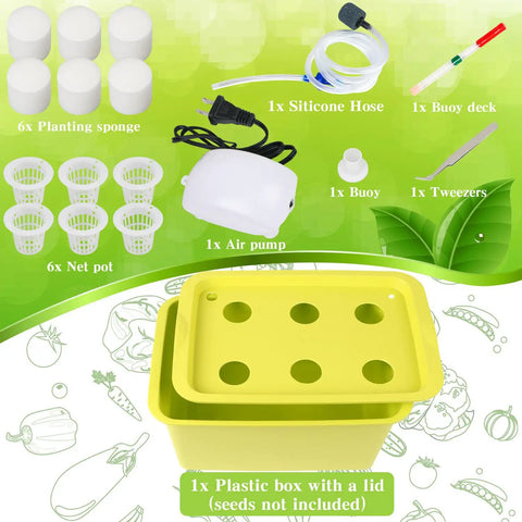 Indoor Hydroponics Grow Kit Self Watering System For Easy Home Garden DIY Plant Box with pump and accessories displayed