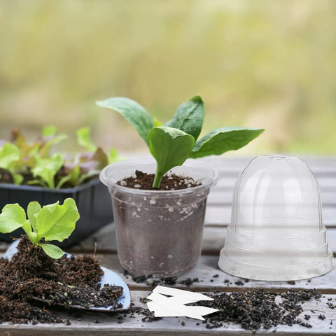 36 Packs 4 Inch Plant Nursery Pots With Humidity Dome Transparent Plastic Planters For Seed Starting Seedlings Indoor
