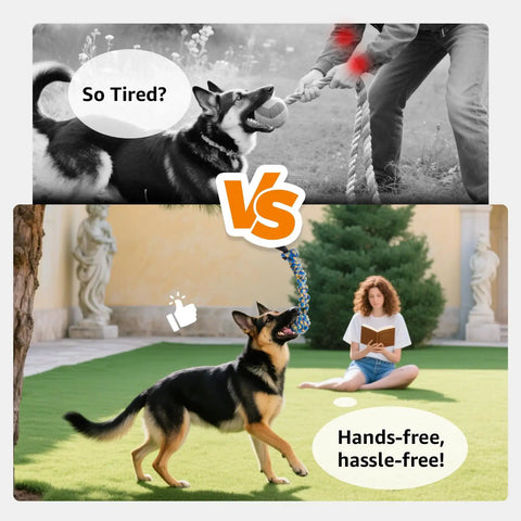 Dog using Outdoor Bungee Tug Toy For Dogs Tree Hanging Rope Tug Interactive Chew Rope in backyard vs human tugging with dog