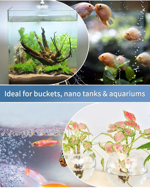 1 Inch Aquarium Air Stone Disc That Delivers Tiny Bubbles To Boost Oxygen In Small Fish Tanks, A Quiet, Consistent Bubbler Kit With Accessories Included, Pump And Tubing Not Included, Jetting 1.5 Liters Per Minute, 3/16 Inch ID Tubing, bubbling aquarium scene