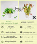 Comparison of plants with and without 4 Pack Self Watering Spikes For Indoor Plants Bird Shape Automatic Irrigation Globes.