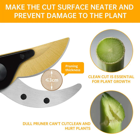 Workhorse Titanium Bypass Pruning Shears With Rust Resistant Coated Ergonomic Handles in action, showing clean cuts.