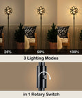 Globe Industrial Floor Lamp With Dimmable On Off Switch in 3 lighting modes for cozy vibe. Rustic spherical standing light.