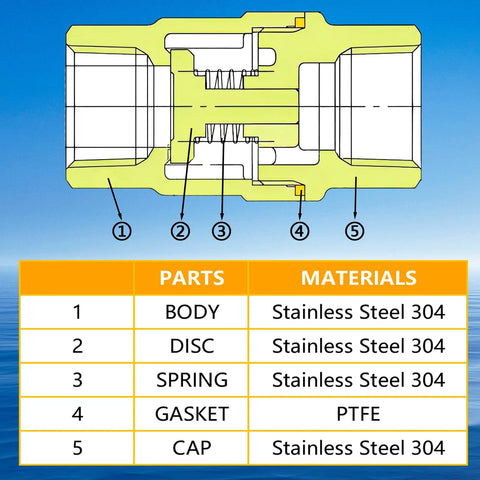 Boltigen 1-inch stainless steel check valve cross-section showing body, disc, spring, PTFE gasket, cap; Amazon.