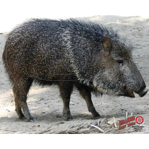 Javelina Archery Target 25 X 32 In Black Weatherproof Target designed with realistic animal image for archery practice.