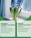 Blue flowers in glass jar on windowsill with benefits of Pro Grade Hydroponic Nutrients A And B For Indoor Plants Fertilizer displayed