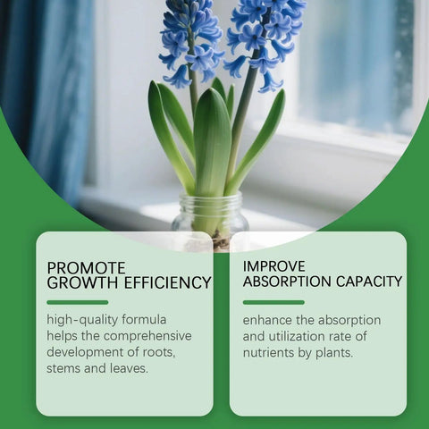 Blue flowers in glass jar on windowsill with benefits of Pro Grade Hydroponic Nutrients A And B For Indoor Plants Fertilizer displayed