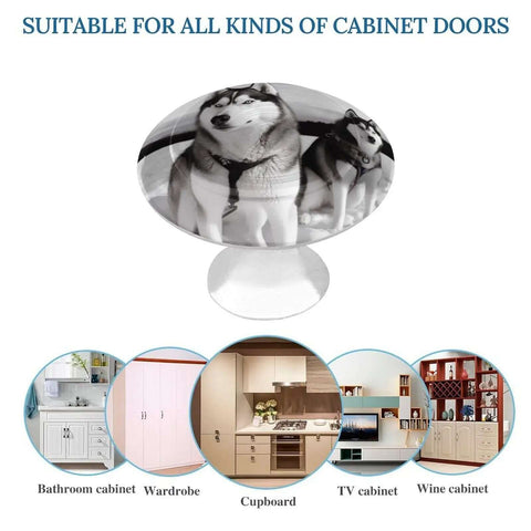 Snowy Husky Dog Round Cabinet Knob Set In Stainless Steel For Kitchen Cabinets Dressers Closets Image