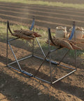 Heavy Duty Welded Steel Yam Bundling Rack Straight Up Sturdy Farm Crop Organizer For Field Harvest Storage with tied yams.