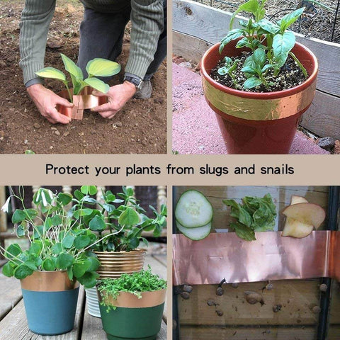 Half Inch Copper Foil Tape 33 Feet With Double Sided Conductive Adhesive used on plant pots for slug protection