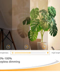 Two Pack 3W Indoor Spotlight Uplights With 10 Ft Cord Dimmable 3000K 4000K 5000K LED Floor Spotlights For Artwork Wall Accent Lighting 120V Perfect For Plants And Home Decor Vibe showcasing brightness levels on a plant next to a chair.