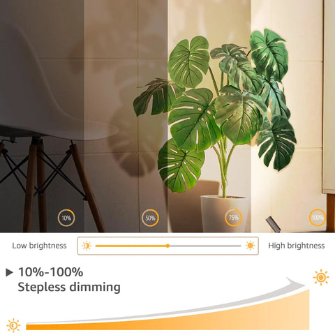 Two Pack 3W Indoor Spotlight Uplights With 10 Ft Cord Dimmable 3000K 4000K 5000K LED Floor Spotlights For Artwork Wall Accent Lighting 120V Perfect For Plants And Home Decor Vibe showcasing brightness levels on a plant next to a chair.