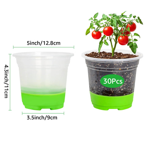 Clear 5 Inch Nursery Pots With Silicone Base for Easy Transplant No Fuss Reusable Seedling Pots 30 Pack with soil and plant