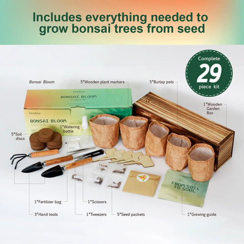 Indoor Bonsai Tree Kit For Beginners Complete Growing Set With Live Plants A Chill Starter Kit For Garden Lovers displayed