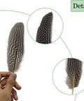 Natural Spotted Pheasant Feathers For Crafts And Jewelry Making, Guinea Fowl Wing Feathers 6-8 Inches, 50 Pack, close-up details