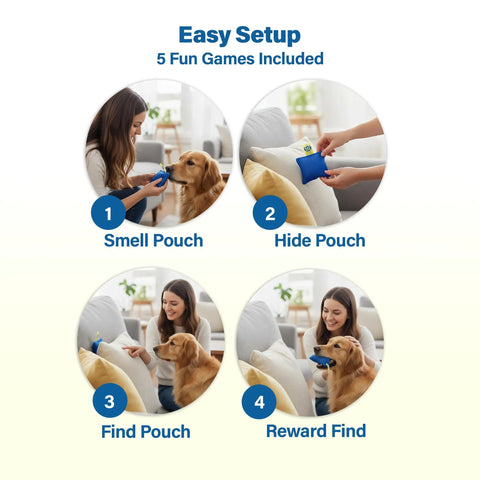 10 Piece Dog Scent Training Kit For Nose Work And Mental Stimulation Includes Scent Toys Brain Games Agility Gear displayed in use