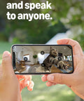 Sleek 360 Degree Pan Tilt Indoor Security Camera With Crisp Hd Video And Two Way Talk For Keeping Tabs On Your Space Plus Instant Smart App Alerts And Clean White Case For A Solid Setup You Know You Need Right Now capturing a cat in a living room setting.