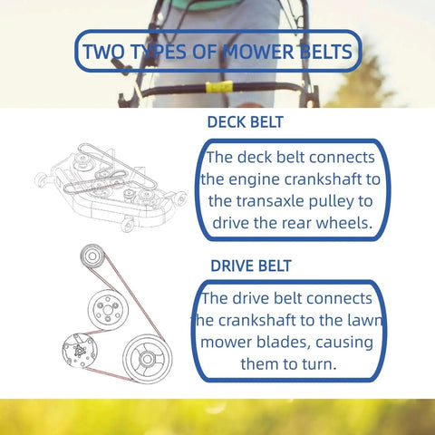 Diagram showing two mower belts: deck belt and drive belt for Wheel Traction Drive Belt Three Eighths Inch By Twenty Seven Point Five Inch.