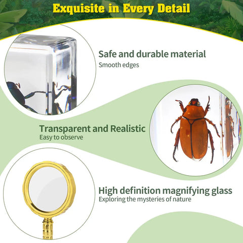Close-up of 15 Varied Insect Specimens Resin Set With Real Butterflies And Beetles For Science Classrooms And Biology Labs Hands-On Observation Ready Educational Bug Preserved Collection Includes Storage Bag And Magnifying Glass showcasing its features, including transparent resin and magnifying glass.