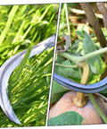 Two Piece Steel Sickle Mowing Tool Set For Gardening And Farming With Sharp Durable Blades showing cutting grass and stem