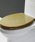Heavy Duty Round Resin Toilet Seat With Knockout Glitter Slow Close Cover And Silent Shutting, white toilet with gold glitter seat.