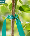 Built Tough Garden Tie Tape Roll Half Inch Wide 300 Feet Long Green Vinyl Plant Support Ribbon For Indoor Outdoor Garden Stakes And Plant Training Fade Resistant Stretchable securing a plant to a stake.