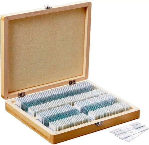 Open cedar wood storage case with 100 prepared biology slides set for students and homeschoolers, includes plants, insects, animal tissues.