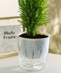 Self Watering Hydroponic Plant Pot With Visual Water Level and Perforated Design, Lightweight Durable PP PET Planter For Herbs And Veggies, Perfect For Aquaponics Growing System And Indoor Gardens, clear planter with small conifer