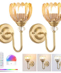 Two Pack Vintage Battery Powered Wall Sconces With 5000mAh Rechargeable Battery Remote Control Dimmable Tulip Amber Shades