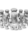 64 Pcs Hydraulic NPT Pipe Fittings Cap And Plug Adapter Kit In Galvanized Steel displayed in various sizes