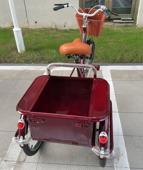 Rear view of Adult Three Wheel Tricycle With Pedals Cargo Trike with Back Cabin and adjustable handlebar and saddle.