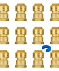 Pack of 12 Half Inch FNPT Female Push To Connect Brass Adapter For PEX Copper CPVC Plumbing Fittings With Disconnect Clip