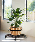 Lockable Heavy Duty Plant Caddy Trolley with 12 inch wheels and steel construction holding a large plant indoors.