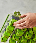 Hand holding SuperSeed All In One Seed Starting Tray With 16 XL Cells, showing green silicone cells with seedlings