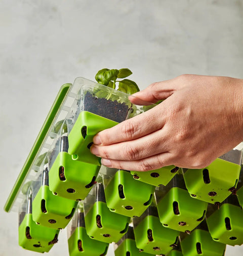Hand holding SuperSeed All In One Seed Starting Tray With 16 XL Cells, showing green silicone cells with seedlings
