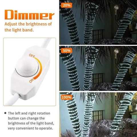Lit 40Ft LED Rope Lights Dimmable Indoor Outdoor Waterproof 6000K Daylight White wrapped around palm trees with dimmer switch