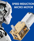 Micro Metal Gear Motor For Diy Projects 12V Brushed Gearbox Drive With Six RPM Options 16 27 53 68 136 And 381 CW CCW
