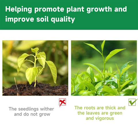 Comparison of withered seedlings and healthy plants using Planting Brick Compressed Fiber Reusable Mulch For Transplanting And Hydroponics