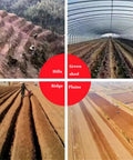 Four panel view of different terrains for a "Handheld Corn Seeder And Soybean Planter With Auto Seed Replenishment, Pro Grade Garden Seed Spreader, 5.5 To 6 Cm Planting Depth, Eight-Port Seed Mouth Design For Quick, Even Planting". Showcases hills, greenhouse, ridges, and plains.
