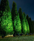 Ultra Bright Solar Spotlight 200 Lumen illuminating trees at night with 270 Degree Adjustable Waterproof Outdoor Landscape Light