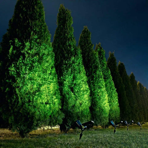 Ultra Bright Solar Spotlight 200 Lumen illuminating trees at night with 270 Degree Adjustable Waterproof Outdoor Landscape Light