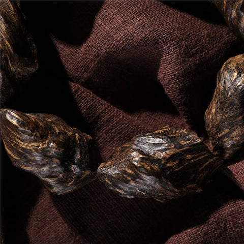 Close-up of Vietnam Nha Trang Agarwood Unisex Jewelry Burl Scarred Black Oil Aged Raw Material on fabric background.