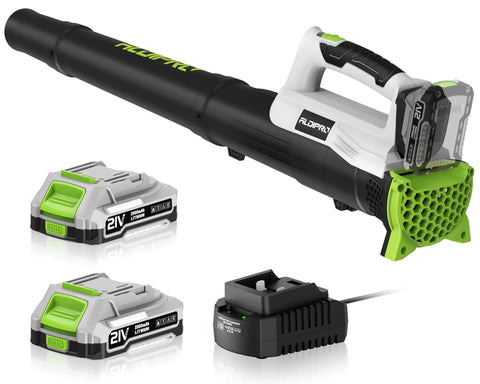 Cordless Leaf Blower With 2x2Ah Batteries And Fast Charger Lightweight 21V Electric Blower displayed with batteries and charger