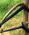 50 Pieces Fruit Tree Limb Spreaders Set For Open Canopy Growth black plastic spreaders installed on young tree branches