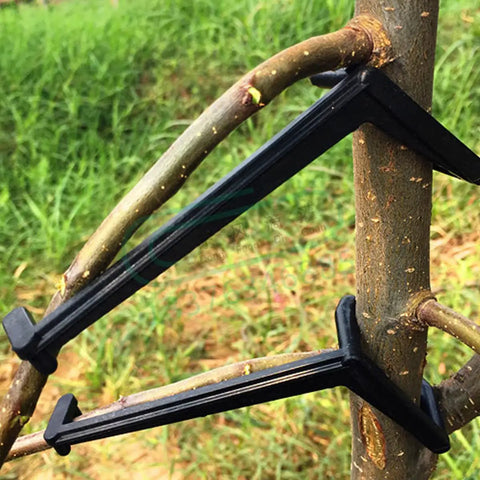 50 Pieces Fruit Tree Limb Spreaders Set For Open Canopy Growth black plastic spreaders installed on young tree branches