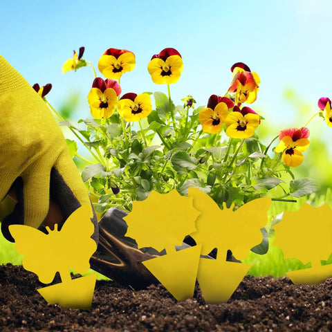 Ultra Thick Yellow Sticky Traps For Fruit Flies And Fungus Gnats With 48 Pack set among colorful flowers in a garden.